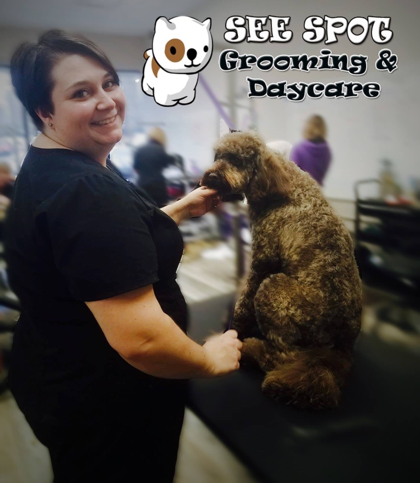 All the Things I Wish I had Known Before Beginning my Grooming Career